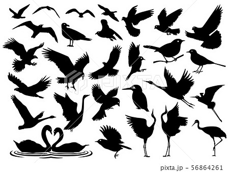 鳥のアイコンセットのイラスト素材 56864261 Pixta