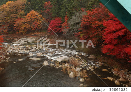 紅葉の奥津渓 56865082