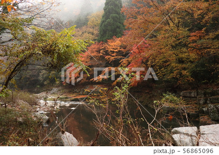 紅葉の奥津渓 56865096