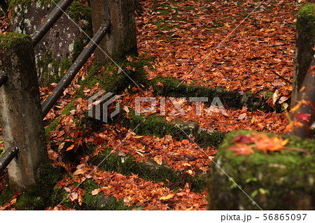 紅葉の奥津渓 紅葉の奥津渓 56865097