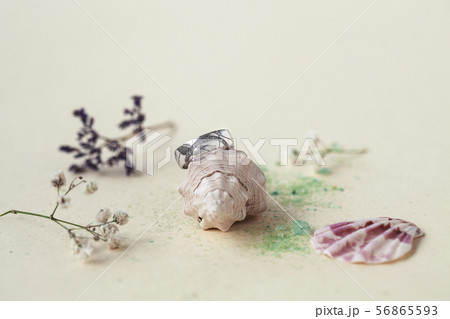 beautiful macro shot of golden wedding ring with sea shell and little flowers on colored background 56865593