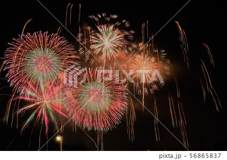 大阪の花火大会 56865837