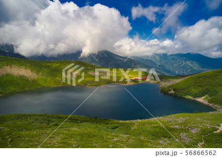 白馬大池（ドローンによる空撮） 56866562