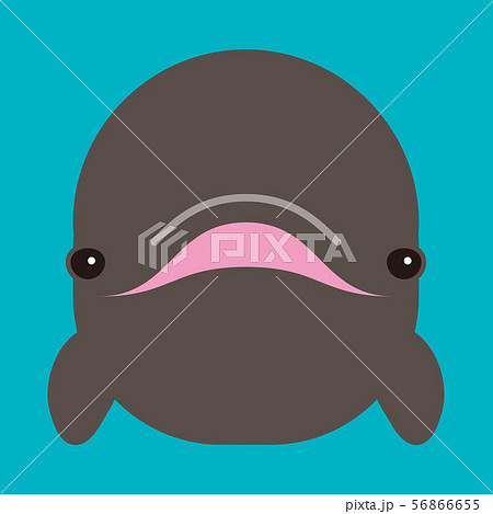 クジラ 56866655