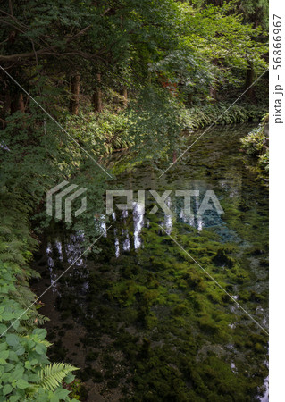 白川水源 56866967