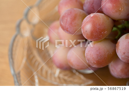 ブドウ ブドウ 56867519