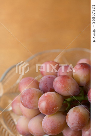 ブドウ 56867521