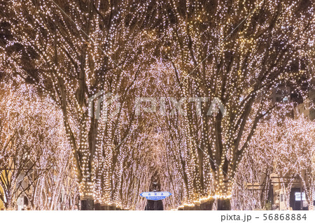 仙台光のページェント 56868884