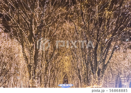 仙台光のページェント 仙台光のページェント 56868885