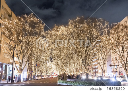 仙台光のページェント 仙台光のページェント 56868890