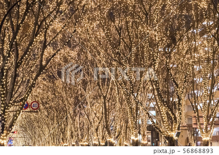 仙台光のページェント 56868893