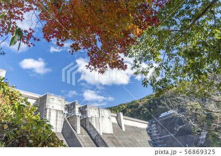 一庫ダムの紅葉 56869325