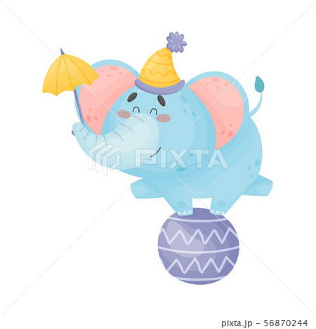 Cartoon elephant stands on a large ball. Vector illustration on a white background. 56870244