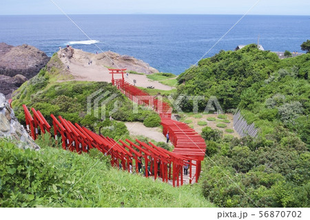 元乃隅神社（山口県長門市） 56870702