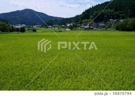 世界遺産 丹生都比売神社周辺の里山天野地区 世界遺産 丹生都比売神社周辺の里山天野地区 56870794