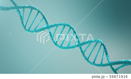 Double helical structure of DNA, DNA molecule, RNA. The concept of biochemistry, biotechnology Double helical structure of DNA, DNA molecule, RNA. The concept of biochemistry, biotechnology 56871916