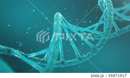 Double helical structure of DNA, DNA molecule, RNA. The concept of biochemistry, biotechnology 56871917