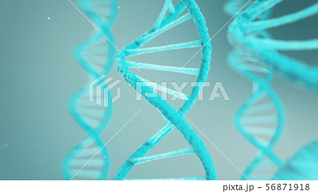 Double helical structure of DNA, DNA molecule, RNA. The concept of biochemistry, biotechnology Double helical structure of DNA, DNA molecule, RNA. The concept of biochemistry, biotechnology 56871918