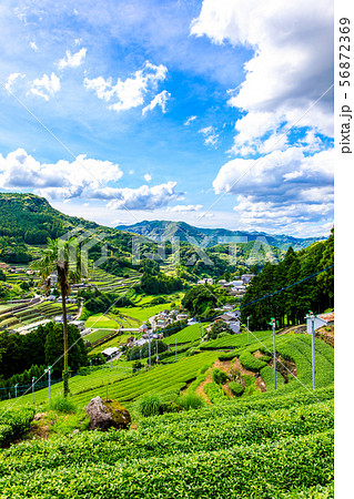 嬉野茶畑　【佐賀県嬉野市】 56872369