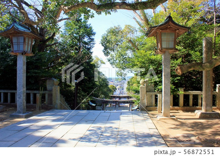 宮地嶽神社「光の道」 56872551