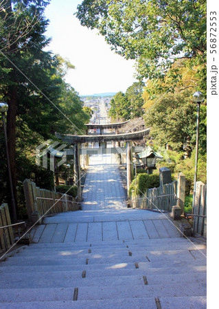 宮地嶽神社「光の道」 宮地嶽神社「光の道」 56872553