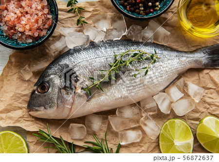 Fresh fish dorado 56872637