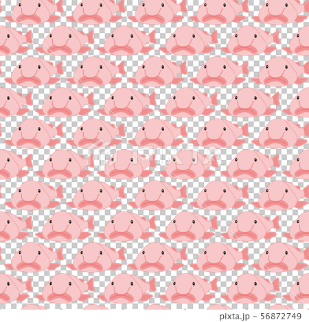 ブロブフィッシュ ニュウドウカジカ  模様 背景素材 ベクター画像 56872749