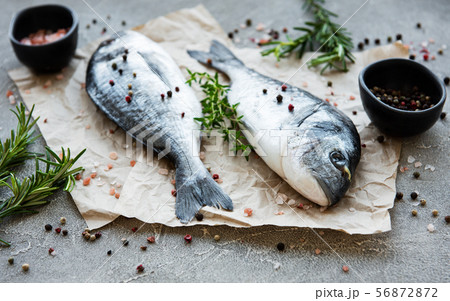Fresh fish dorado Fresh fish dorado 56872872