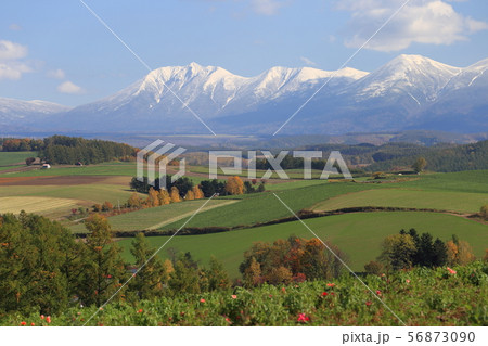 北海道 美瑛 丘の風景 北海道 美瑛 丘の風景 56873090