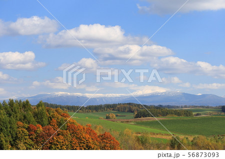 北海道 美瑛 丘の風景 北海道 美瑛 丘の風景 56873093