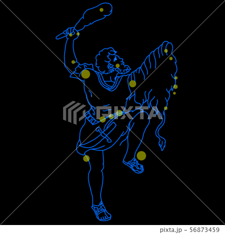 Orion Constellation 56873459
