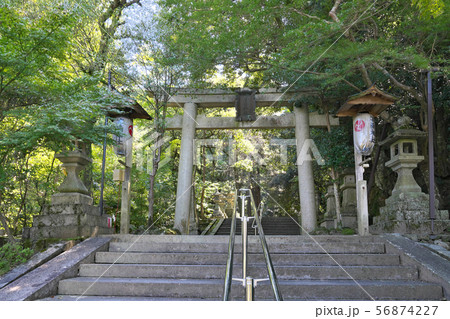【等彌神社】 奈良県桜井市大字桜井 【等彌神社】 奈良県桜井市大字桜井 56874227