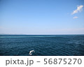 海 56875270