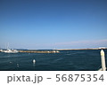海 56875354