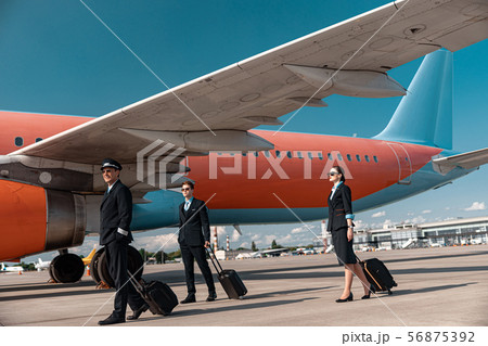Adult Caucasian pilots and flight attendant walking in airport 56875392