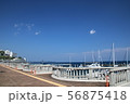 海辺 56875418