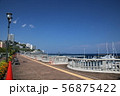 海辺 56875422