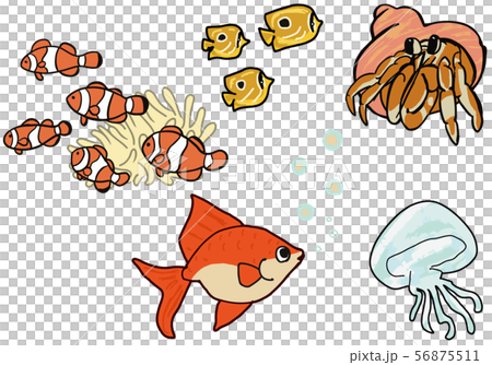 水族館水邊生物 56875511