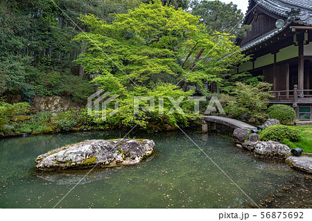 京都 青蓮院 龍心池 56875692