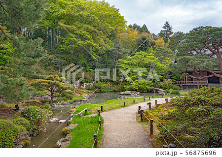 京都 青蓮院 龍心池 56875696