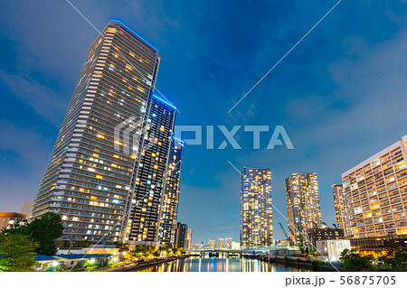 晴海周辺の高層マンションと高層ビル群の夜景 56875705
