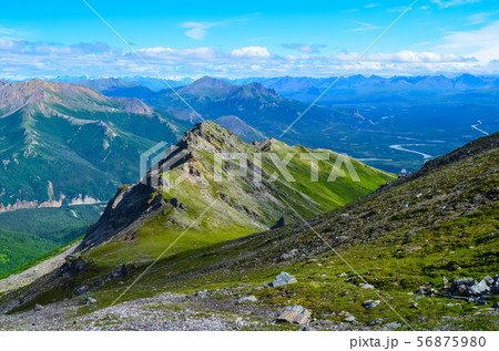View of Nenana river valley from Mount Healy hike trail with blue sky with white clouds above View of Nenana river valley from Mount Healy hike trail with blue sky with white clouds above 56875980