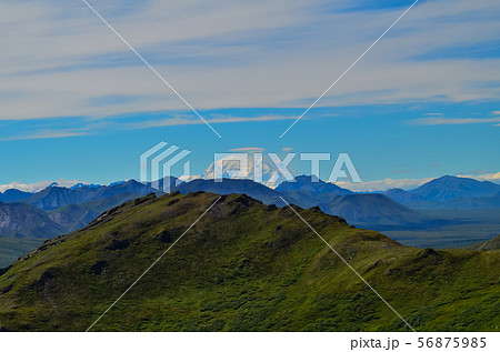 Distant view of Mount Denali mt Mckinley peak from Mount Healy hike trail with blue sky with white 56875985