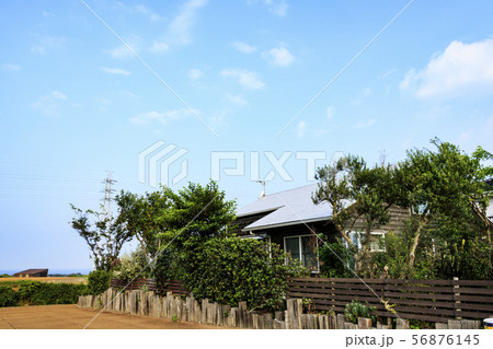 畑（夏） 56876145