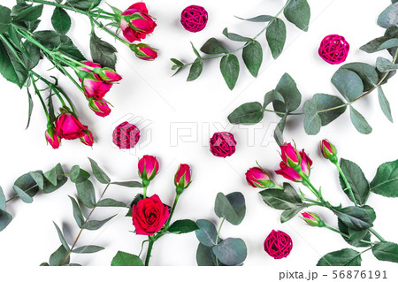 Beautiful sprigs of eucalyptus and roses on white background, top view. 56876191
