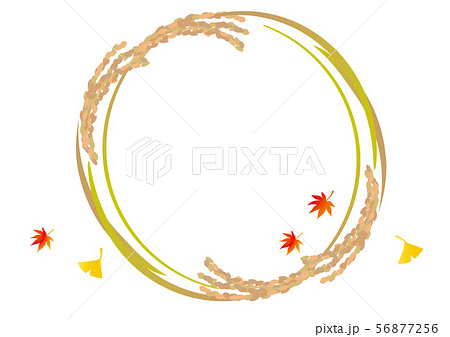 稲のイラスト 56877256