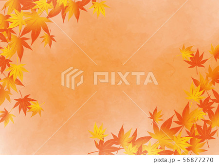 紅葉のイラスト 56877270
