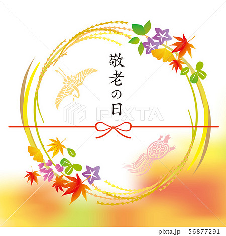 敬老の日　イラスト 56877291