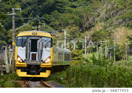土日祝日を中心に運転される新宿さざなみ（E257系500番台） 56877455