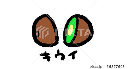 秋の味覚 素材 秋 食欲 食材 シンプル 手書き アナログ キウイ 果物 フルーツのイラスト素材
